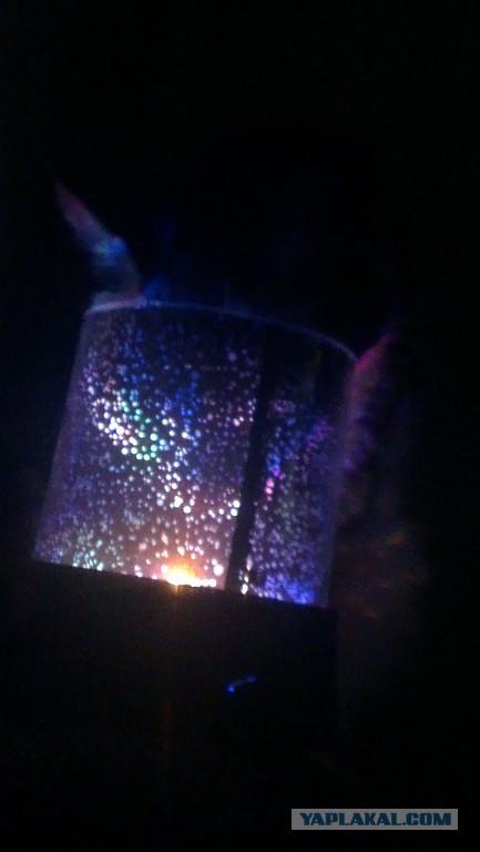 Котовторник  28.01.14