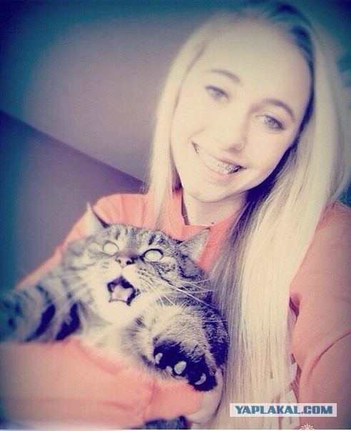 Шутки-абсурдки