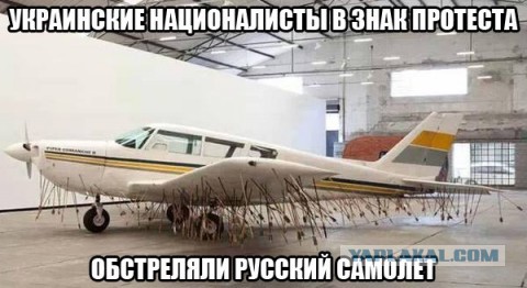 Десяток карикатур