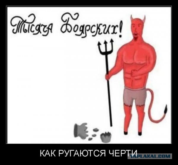 Смешные картинки из инета