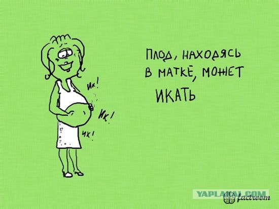 Факты в картинках