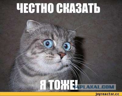 Честно сказать, я в ах...