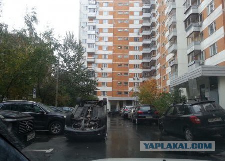 Веселые картинки