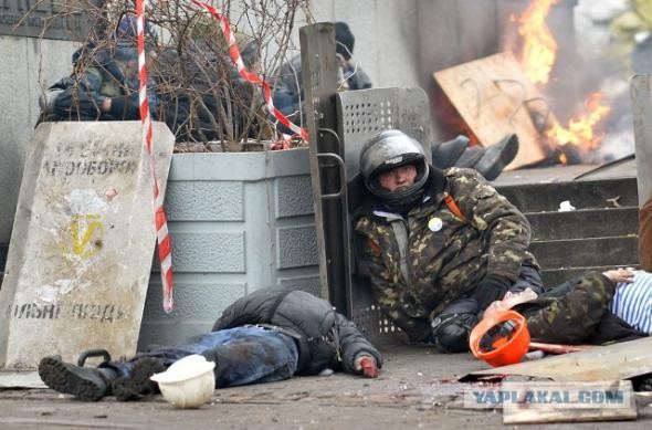МВД Укров признало: "Беркут" не убивал "небсотню"
