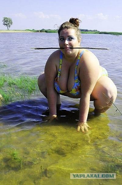 Вестник соцсетей