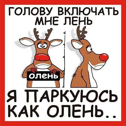 Автоприколы-8