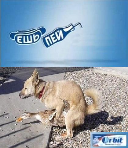 Гуси, гуси, га-га-га