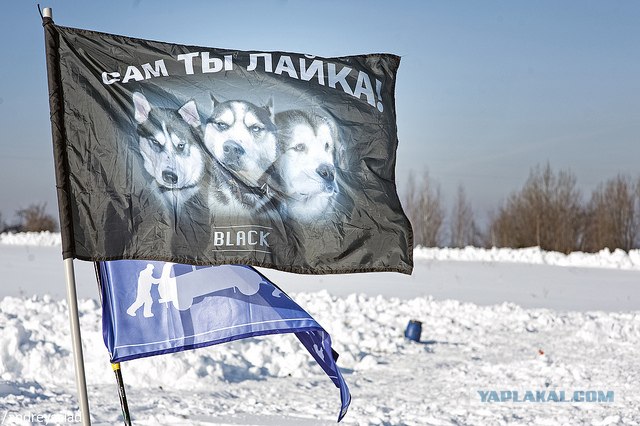 Эротический фотосет "гламурной кисы" у зеркала