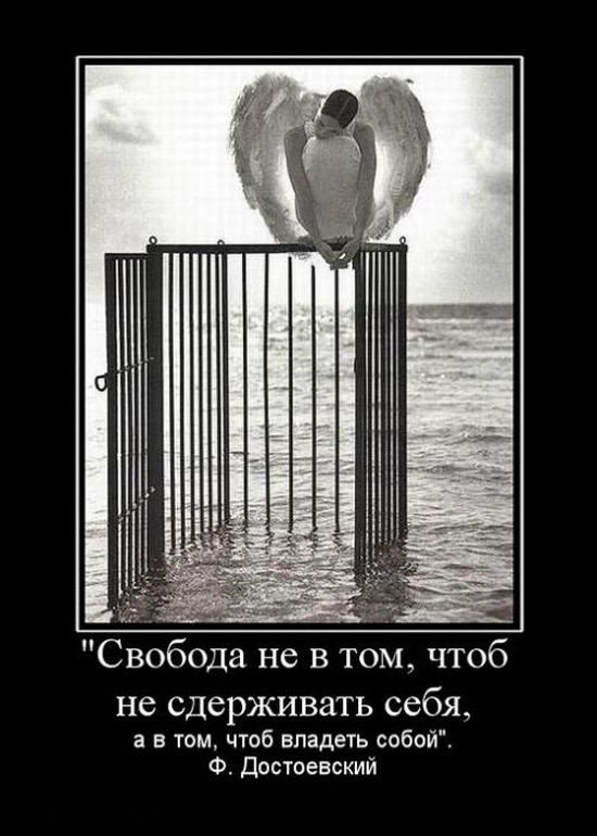 Вы хотите "демов"? часть 2-я