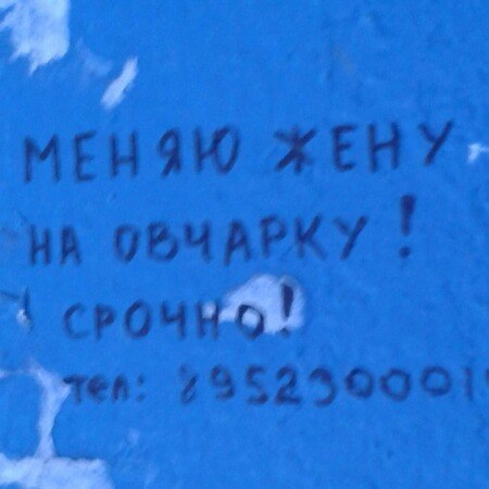 Ужасы и приколы из соцсетей 18+
