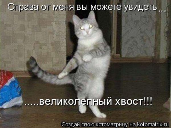 Что за фигня и как с этим бороться?