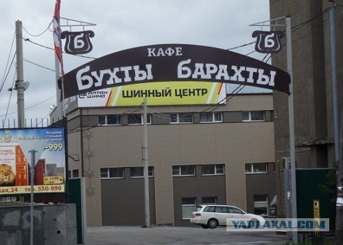 Приколы из сети