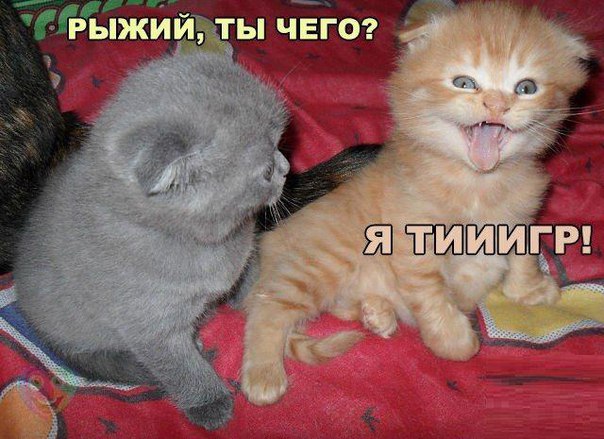 А давайте улыбнёмся