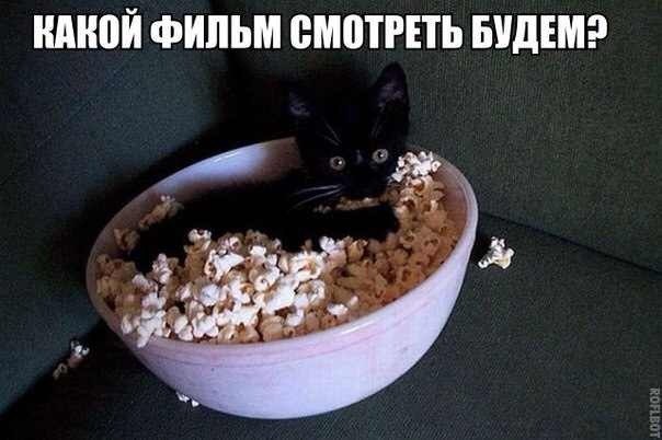 Картинки разные из сети