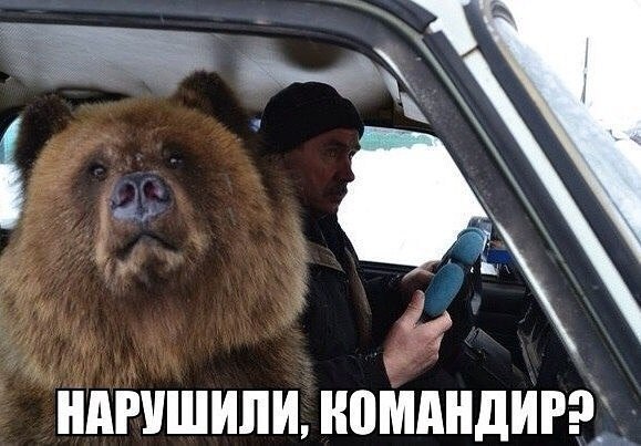 Отовсюду понемногу