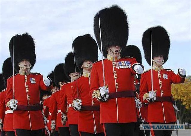 Поцелуй Иуды