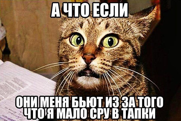 Злые шутки или минутка сарказма на ЯП-е, 16+
