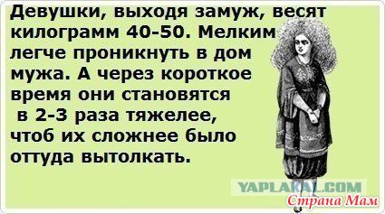 Весёлые картинки