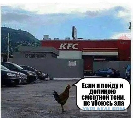 Подборка картинок