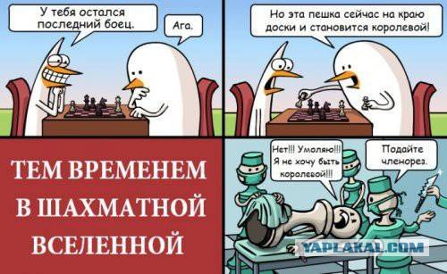 Где-то в Параллельной Вселенной