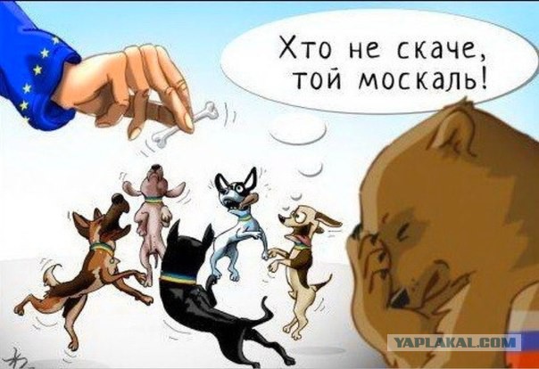 За лозунг «Слава Украине» скоро на Украине будут бить морду