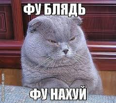 Весело, задорно, я снимаю порно! 18+