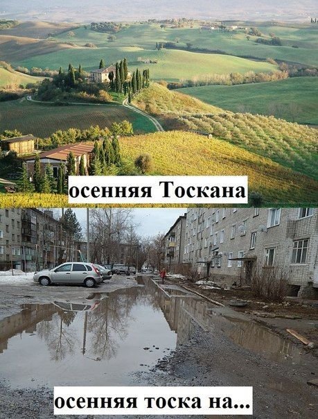 Смешные комментарии из социальных сетей 22.04.2016.