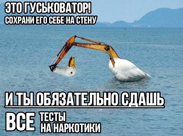 Абсурдный юмор ч.26