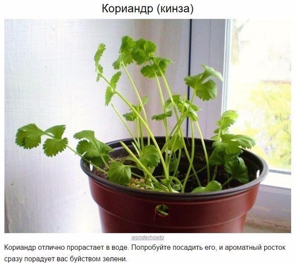 Подборка "тёплых уютных домашних" фотографий, часть 6