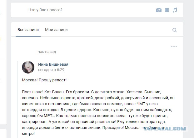 Поговорю с добрыми москвичами. Посторонним В.