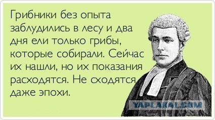 Подборка интересных и веселых картинок