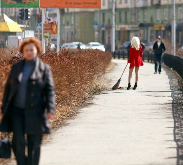 Подборка безудержного веселья