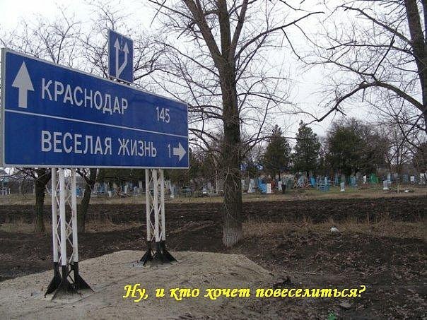 Подборка безудержного веселья