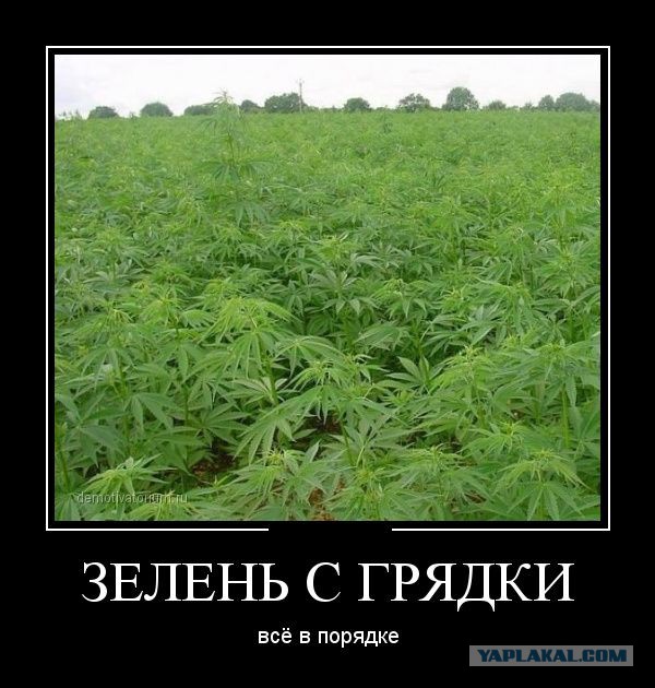 "Игра престолов" - Ice Ice Baby