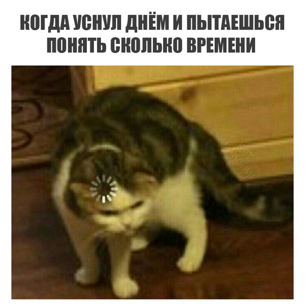 Подборка картинок с юмором "на любителя"