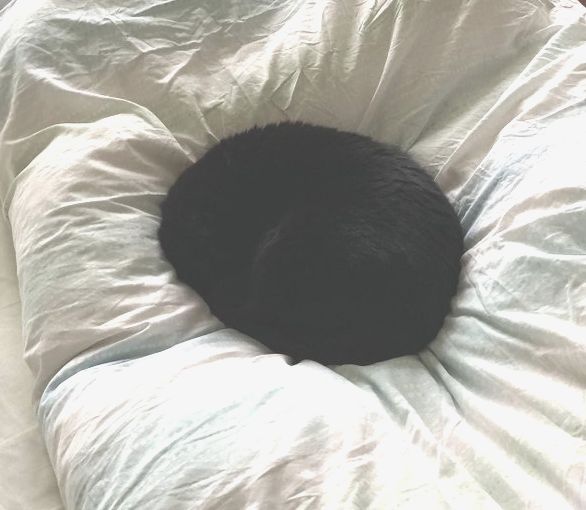 Чёрная дыра