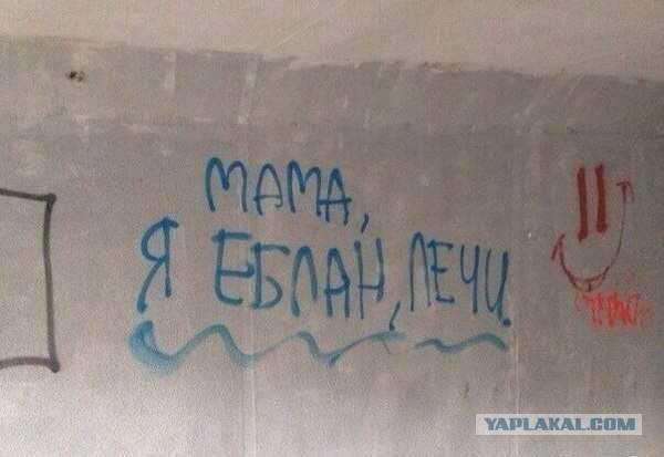 Чудики из социальных сетей