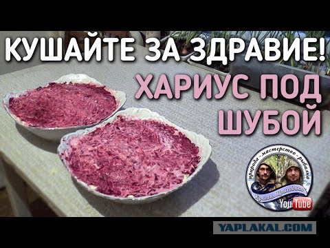 Дайверы впервые сняли видео на Телецком озере на глубине 80 метров