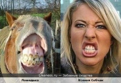 Началось конкретное мочилово Грудинина. Теперь в судах