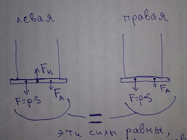 Познавательная Редеградация