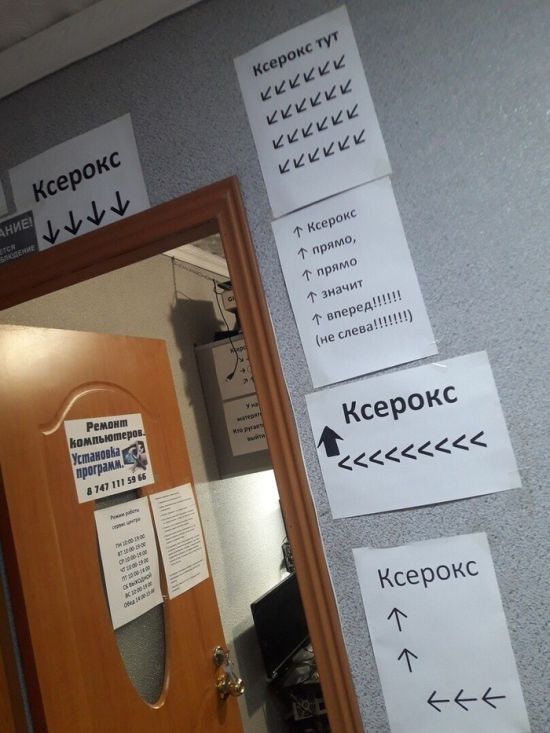 Смешные объявления, надписи и вывески