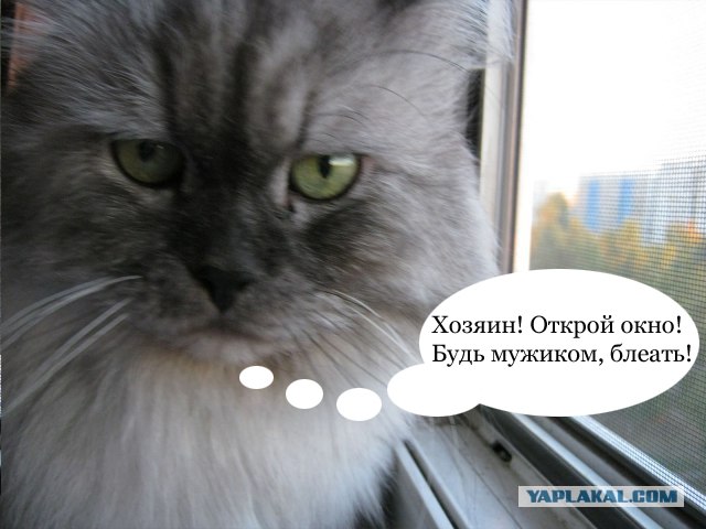 Облом дня