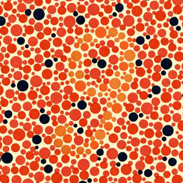 Китайский космический аппарат впервые в истории человечества успешно сел на обратную сторону Луны