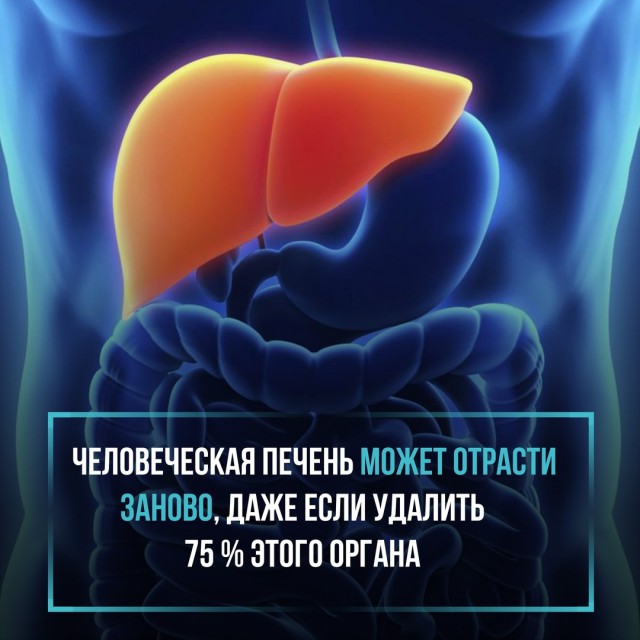 Спорные "интересности" в картинках