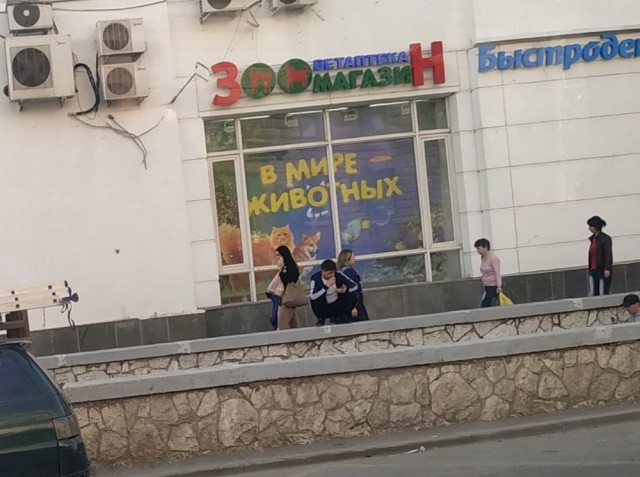 Удивительные снимки с российских просторов 28.04.19