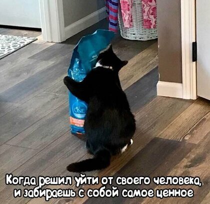Картинки с надписями, истории и анекдоты