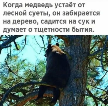 От улыбки хмурый день светлей