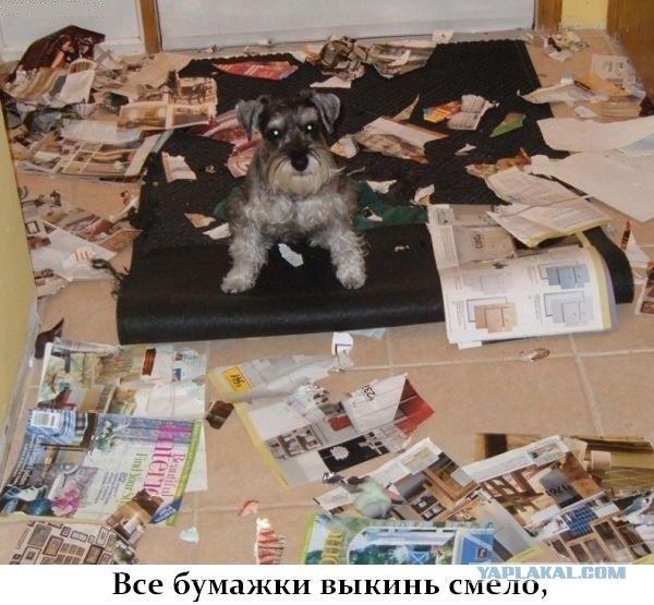 ПЯТНИЦЦО!