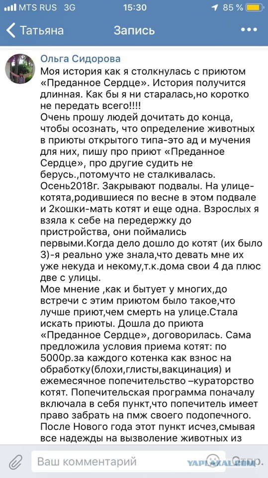Помогите вернуть кота! Приют "Преданное сердце" украл кота и не отдает!