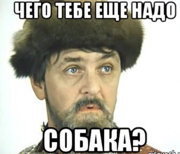 В Воронежской области открылись два животноводческих комплекса